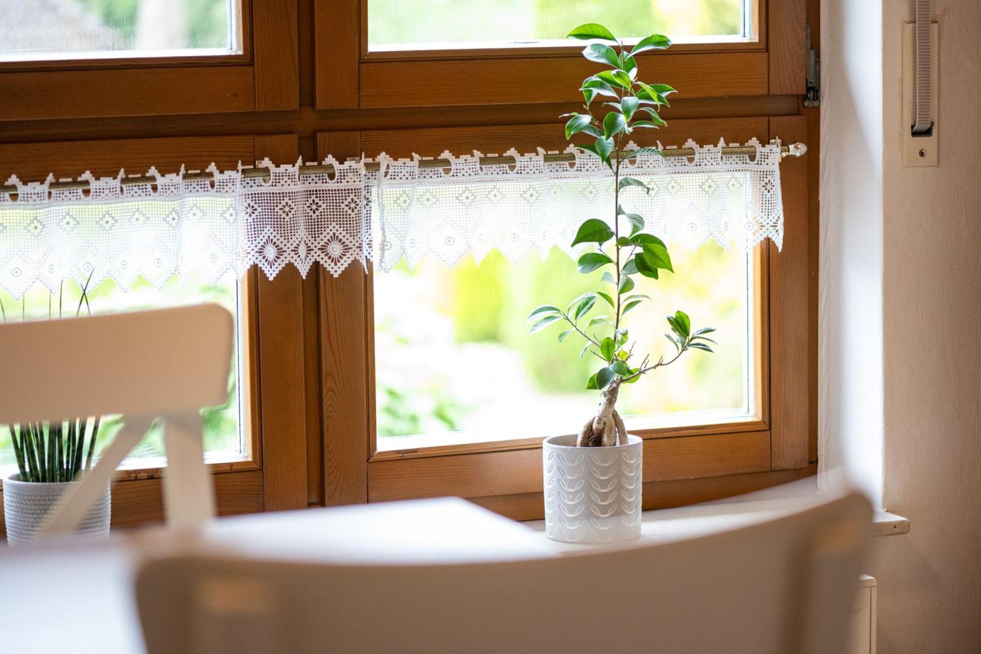 Ferienwohnung Pop S Huus 35226 Holtland Luaran gambar